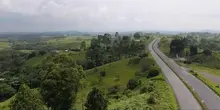 Siembra de árboles y cuidado del medio ambiente en el proyecto Armenia – Pereira - Manizales