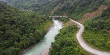 Con la siembra de más de 23.000 plántulas nativas, el proyecto vial  Quibdó - Medellín se convierte en una obra más amigable con el medioambiente 