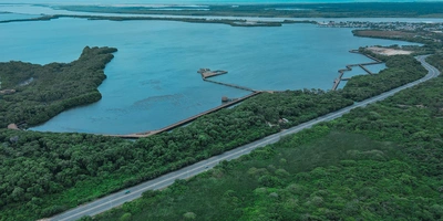 Con siembra de mangle, pasos de fauna y viveros, el proyecto Cartagena – Barranquilla contribuye a la conservación ambiental