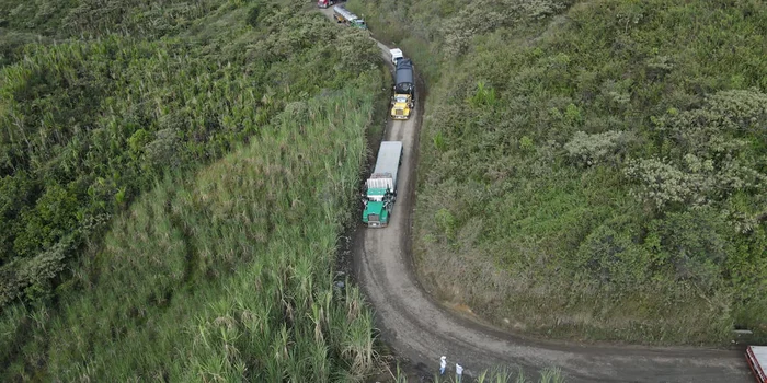 Se implementa el Módulo “Registro Para Unidad Nacional Gestión del Riesgo” del RNDC, para generadores de carga afectados por derrumbe en la vía Panamericana, tramo entre Mojarras-Popayán, departamento del Cauca